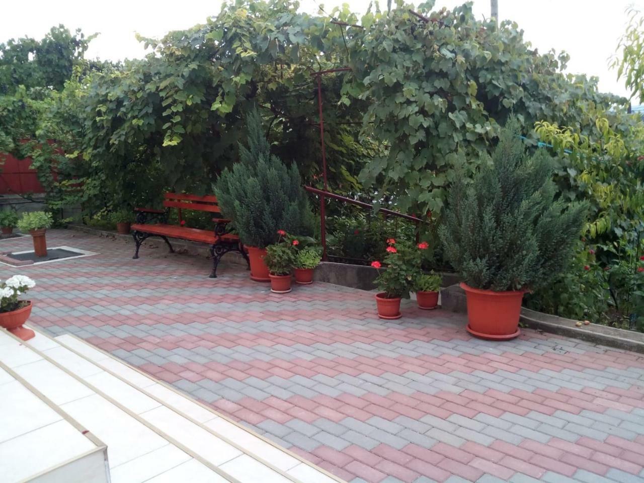 Casa Matei Casa De Vacanta Τούρντα Εξωτερικό φωτογραφία